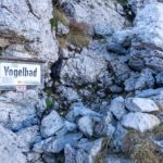 Im Vogelbad © Gipfelfieber