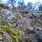 Alter Trittbügel © Gipfelfieber