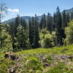 Im Lattengebirge © Gipfelfieber