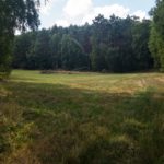 Skibetrieb © Gipfelfieber