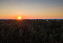 Höchster Gipfel in Brandenburg: Heidehöhe oder Kutschenberg? Projekt 16 Gipfel in Brandenburg: Welcher ist es denn? © Gipfelfieber