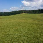 Der Kutschenberg © Gipfelfieber