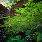 In der Schlucht © Gipfelfieber