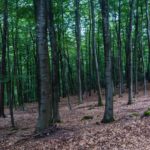 Im Nationalpark © Gipfelfieber