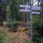 Saar-Hunsrück-Steig © Gipfelfieber