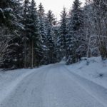 Start auf der Forststraße © Gipfelfieber