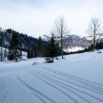 Über Almwiesen © Gipfelfieber