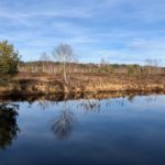 Überbleibsel vom Torfabbau © Gipfelfieber