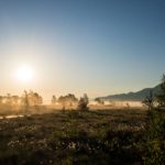 Sonnenaufgang im Moor © Gipfelfieber