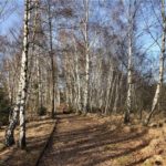 Alte Schienen © Gipfelfieber