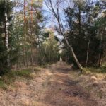 Einfache Wanderung durchs Moor © Gipfelfieber