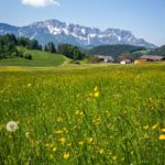 Sagenumwobener Untersberg © Gipfelfieber