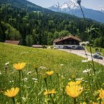 Letzter Blick zum Watzmann © Gipfelfieber