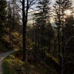 Zur Hofalm © Gipfelfieber