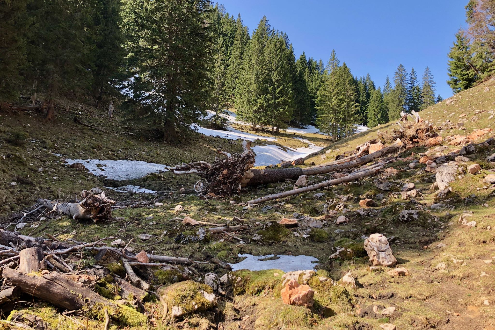 Abstieg Laubenstein © Gipfelfieber