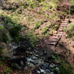 Steil im Wald © Gipfelfieber