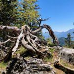 Wilde Natur © Gipfelfieber