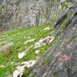 Hier entlang © Gipfelfieber