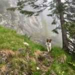 Kommt ihr? © Gipfelfieber