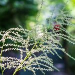 Details am Wegesrand © Gipfelfieber