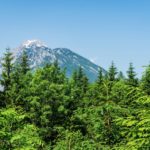 Göllmassiv © Gipfelfieber