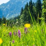 Tennengebirge © Gipfelfieber