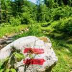 Zur Infangalm © Gipfelfieber