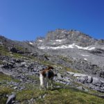 Mit Hund auf dem Sentiero della Pace © Etappen-Wandern.de