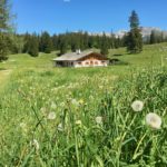 Kührointalm © Gipfelfieber