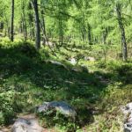 Abzweig ins Watzmannkar © Gipfelfieber