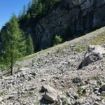 Gams im Watzmannkar © Gipfelfieber