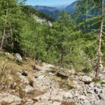 Lichter Wald und schlafende Hexe © Gipfelfieber