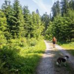 Durch Wälder © Gipfelfieber