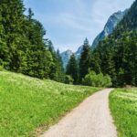 Bergwiesen © Gipfelfieber