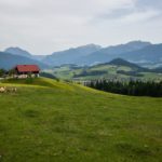 Almwiesen über Annaberg © Gipfelfieber