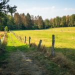 Herbstfarben © Gipfelfieber