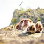 Pause © Gipfelfieber