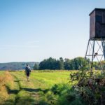 Wiesen und Wälder © Gipfelfieber
