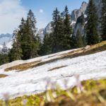 Überbleibsel des Winters © Gipfelfieber