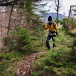 Vom Gipfel in den Wald © Gipfelfieber