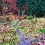 Gut sichtbarer Einstieg © Gipfelfieber