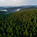 Projekt 16 Gipfel: Großer Beerberg, Schneekopf und Thüringer Träume © Gipfelfieber