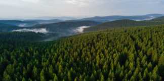 Projekt 16 Gipfel: Großer Beerberg, Schneekopf und Thüringer Träume © Gipfelfieber