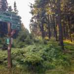 Auf dem Rennsteig © Gipfelfieber