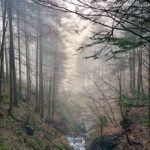 Magische Lichtstimmung © Gipfelfieber