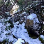 Latschengasse © Gipfelfieber