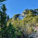 Aufstieg zur Scheibenwand © Gipfelfieber