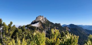 Scheibenwand & Bauernwand: Auf vergessenen Steigen zu den stillen Nachbarn © Gipfelfieber