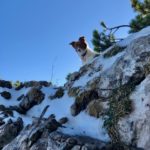 Kommt ihr? © Gipfelfieber