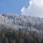 Frühling und Winter © Gipfelfieber